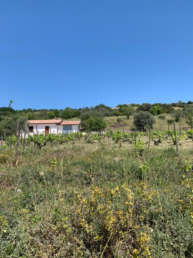 Villa Paradiso Montegiordano Exterior foto